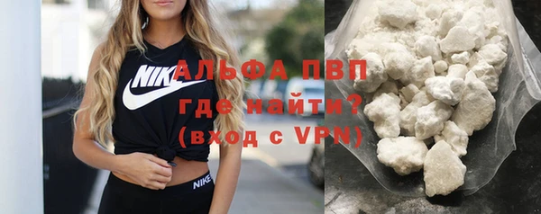 PSILOCYBIN Балахна
