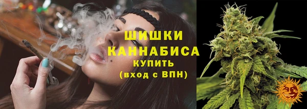 PSILOCYBIN Балахна